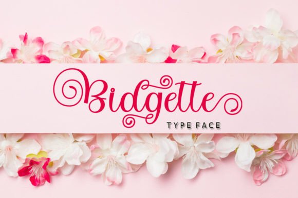 Bidgette: The Elegant Script Font for Crafters